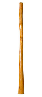 Gloss Finish Didgeridoo (TW1156)